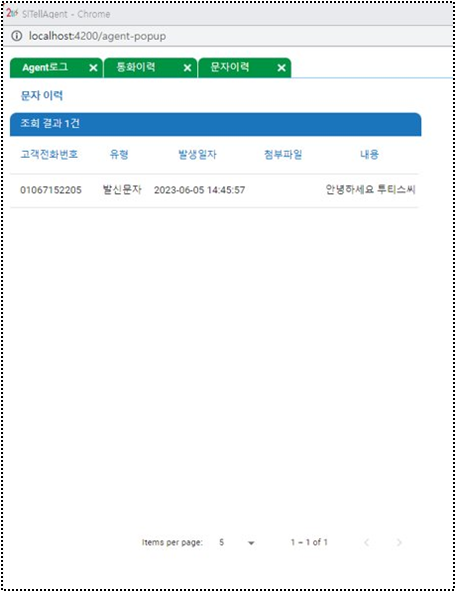 문자 정보 상세 조회